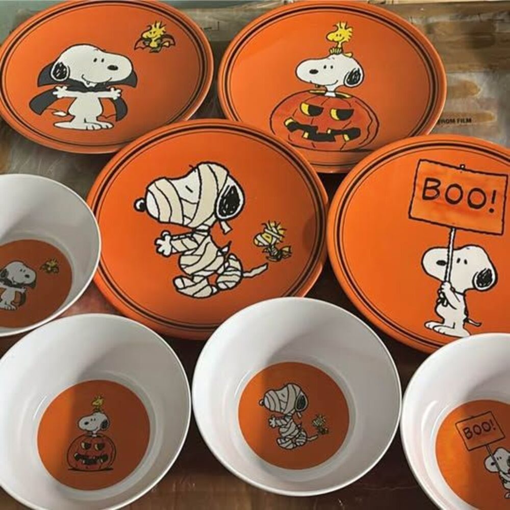 Peanuts Snoopy Halloween Plate and Bowl 4 set (8 total) Melamine